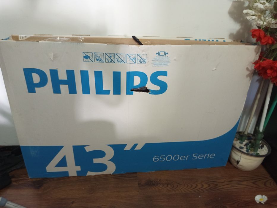 Tv philips  Se vinde pt piese
