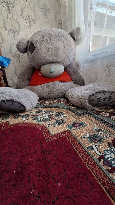 Teddy ayigi boyi 1.90