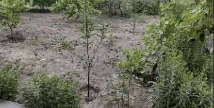 Срочно продаётся участок земли в нежилом фонде (Сергели)