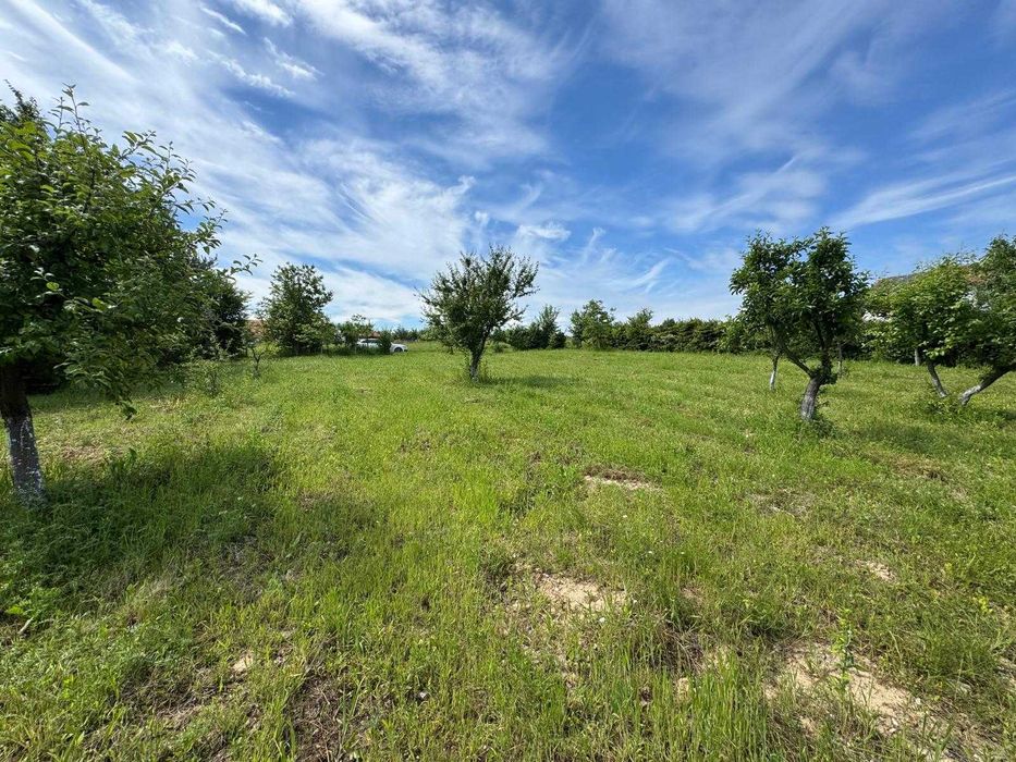 Teren intravilan 1.1 Hectare Viile Satu Mare CF utilitati