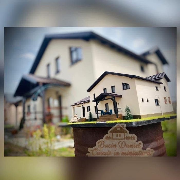 Cadou personalizat, casa in miniatura , casuta , casa batraneasca