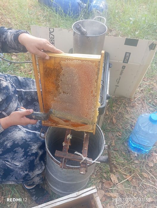 Toza asal mahsulotlari