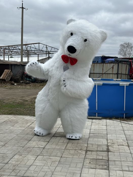 Заказ, Аренда белого Мишки