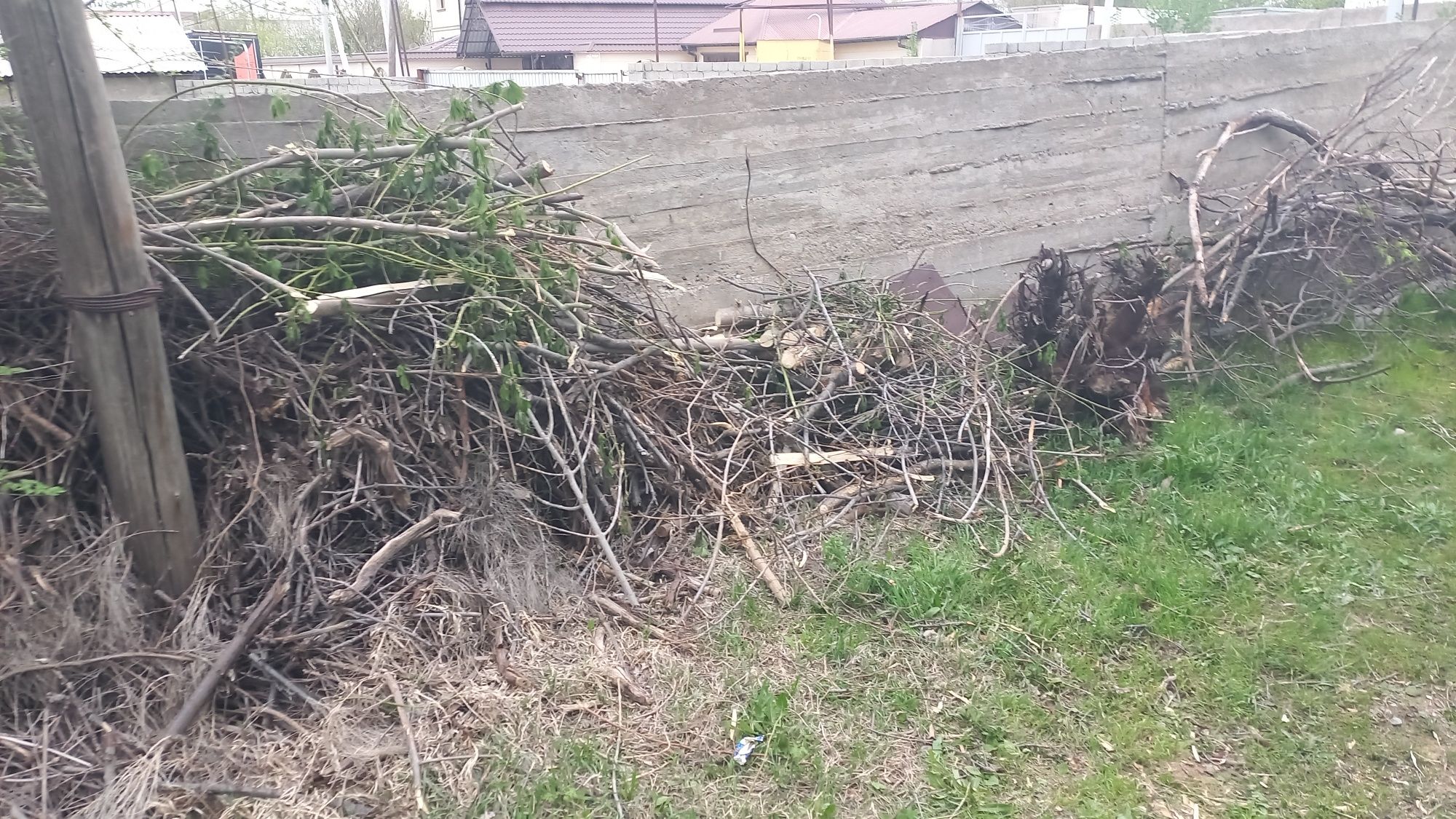 Бесплатно отдам дрова самовывоз из жилого массива дасай
