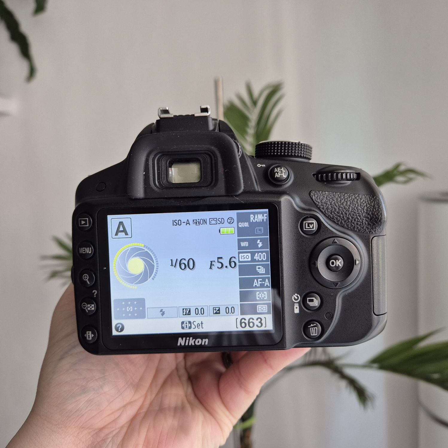 Nikon D3200 + Sigma DC 17-50mm 2.8 EX HSM