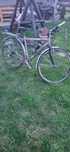 Bicicleta Simplon Grid F3 Carbon