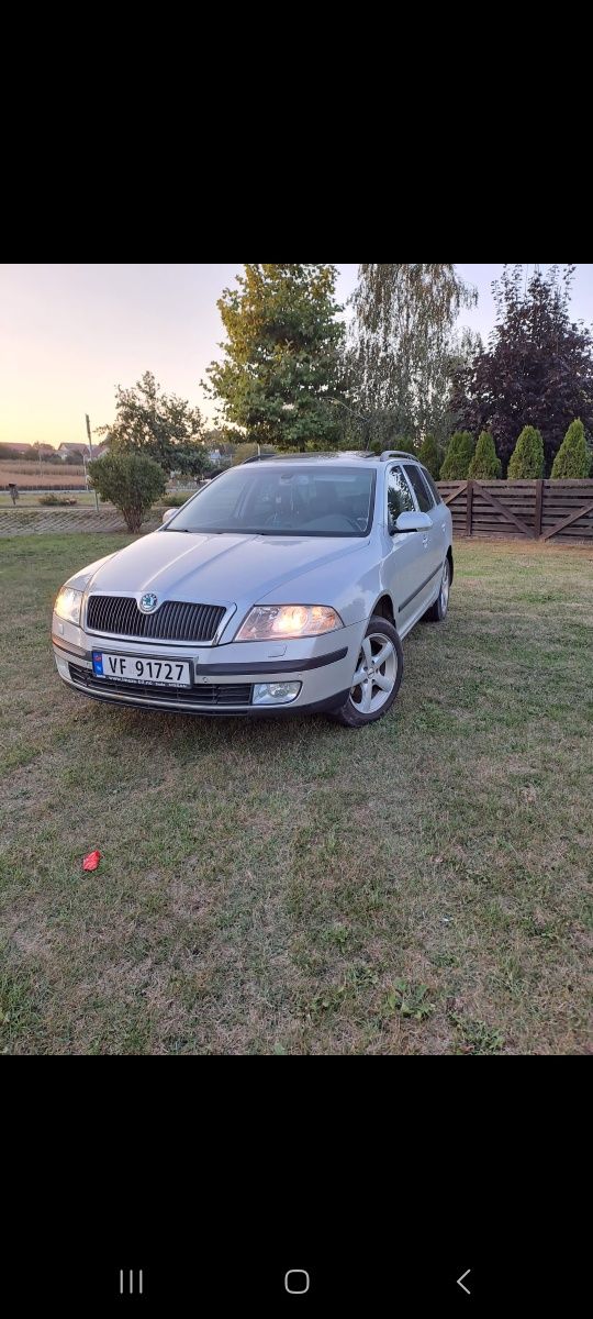 Portiere skoda octavia 2 gri