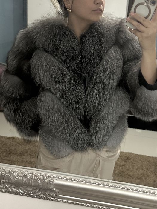 Blana vulpe argintie