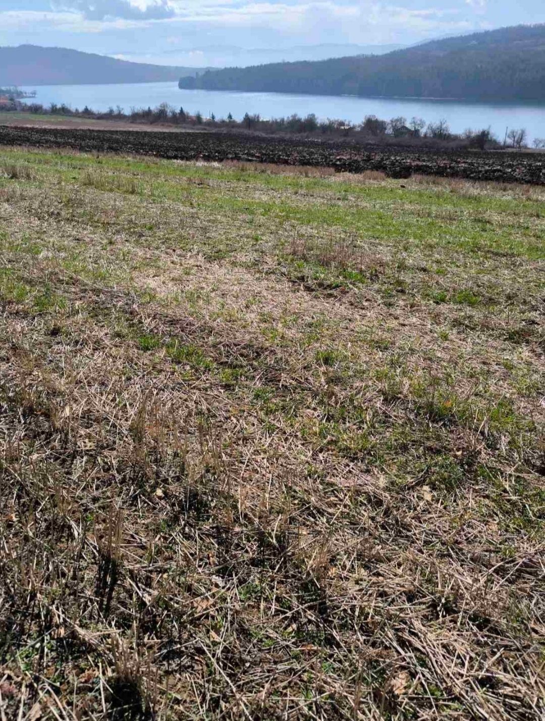 Продава се земеделска земя в село Ковачевци, област Перник
