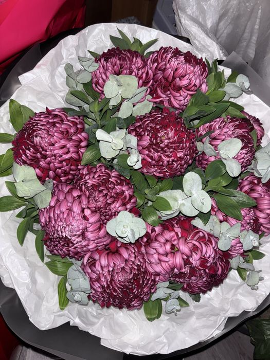 Цветы свежие сегодня