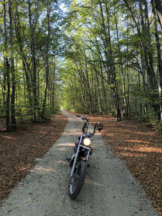 Suzuki Intruder VS750 GL