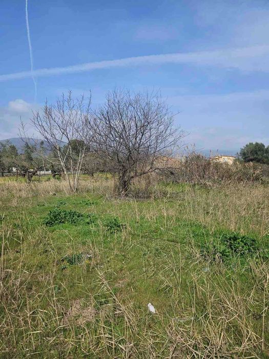 Парцел 1600 кв.м, Неа Врасна