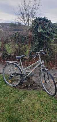 Bicicleta Epple Grizzly Germania