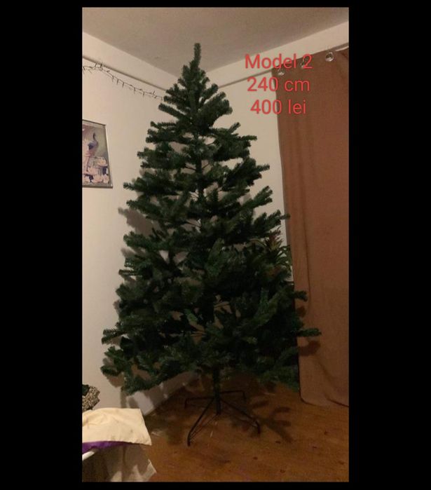 Brad / Pom de Crăciun