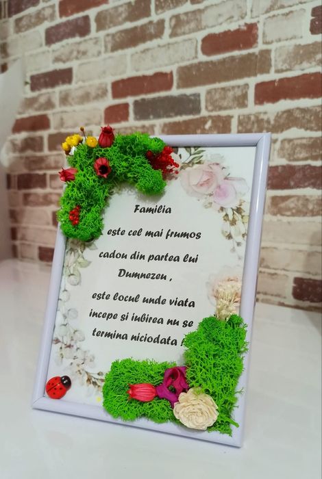 Tablouri decorate cu licheni premium