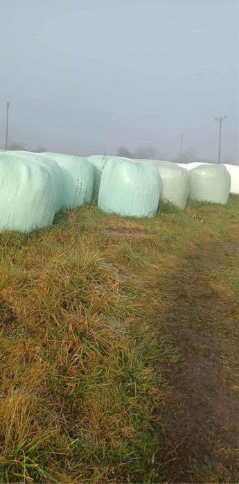 Vand baloti infoliati de lucerna