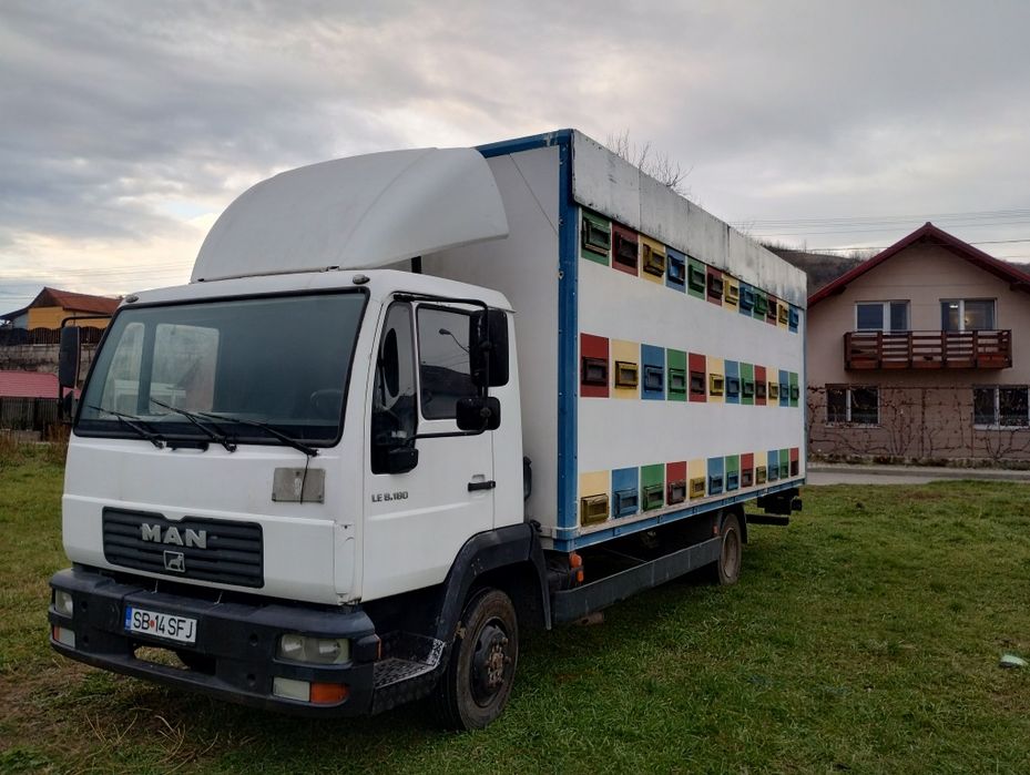 Camion apicol Man an fabricație 2005