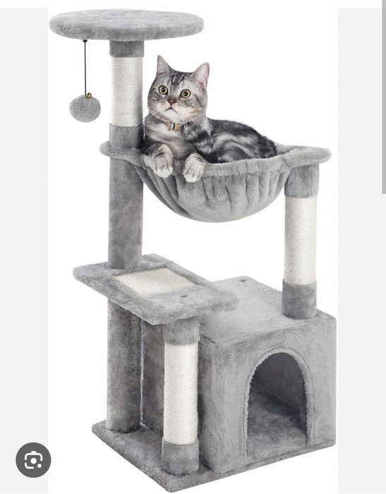 Mushuk uychasi xarxil turdagi kota va kichik uychalar