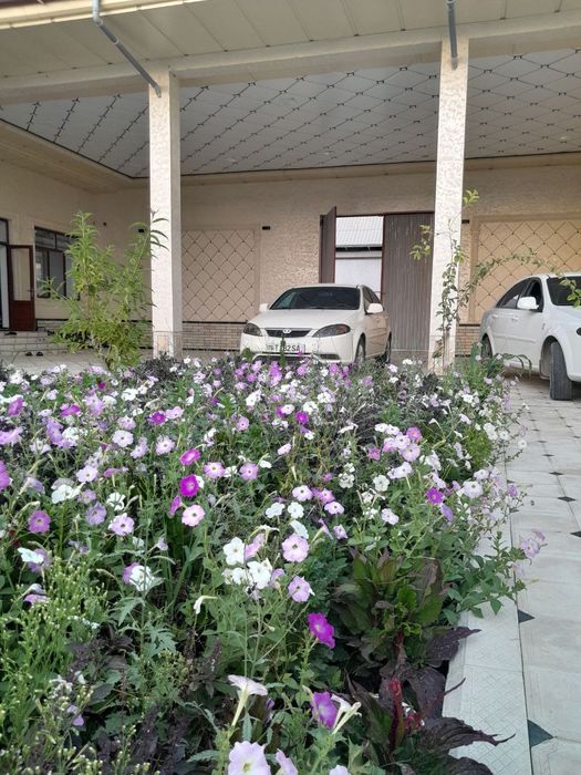 Daewoo Lacetti 3 Pazetsiya EVRO