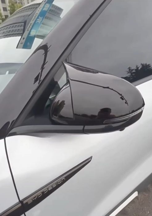 Защитные накладки на боковые зеркала BYD YUAN UP