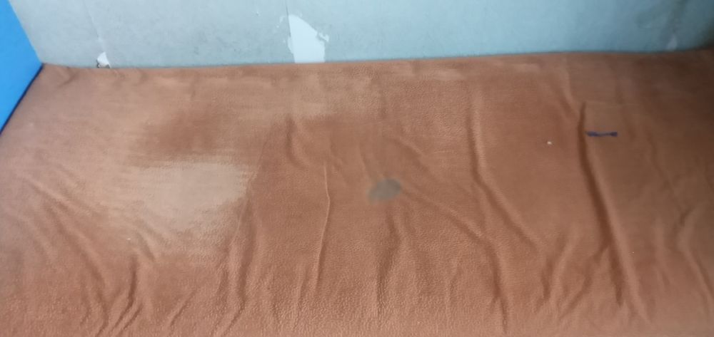 Кошачия когтеточка