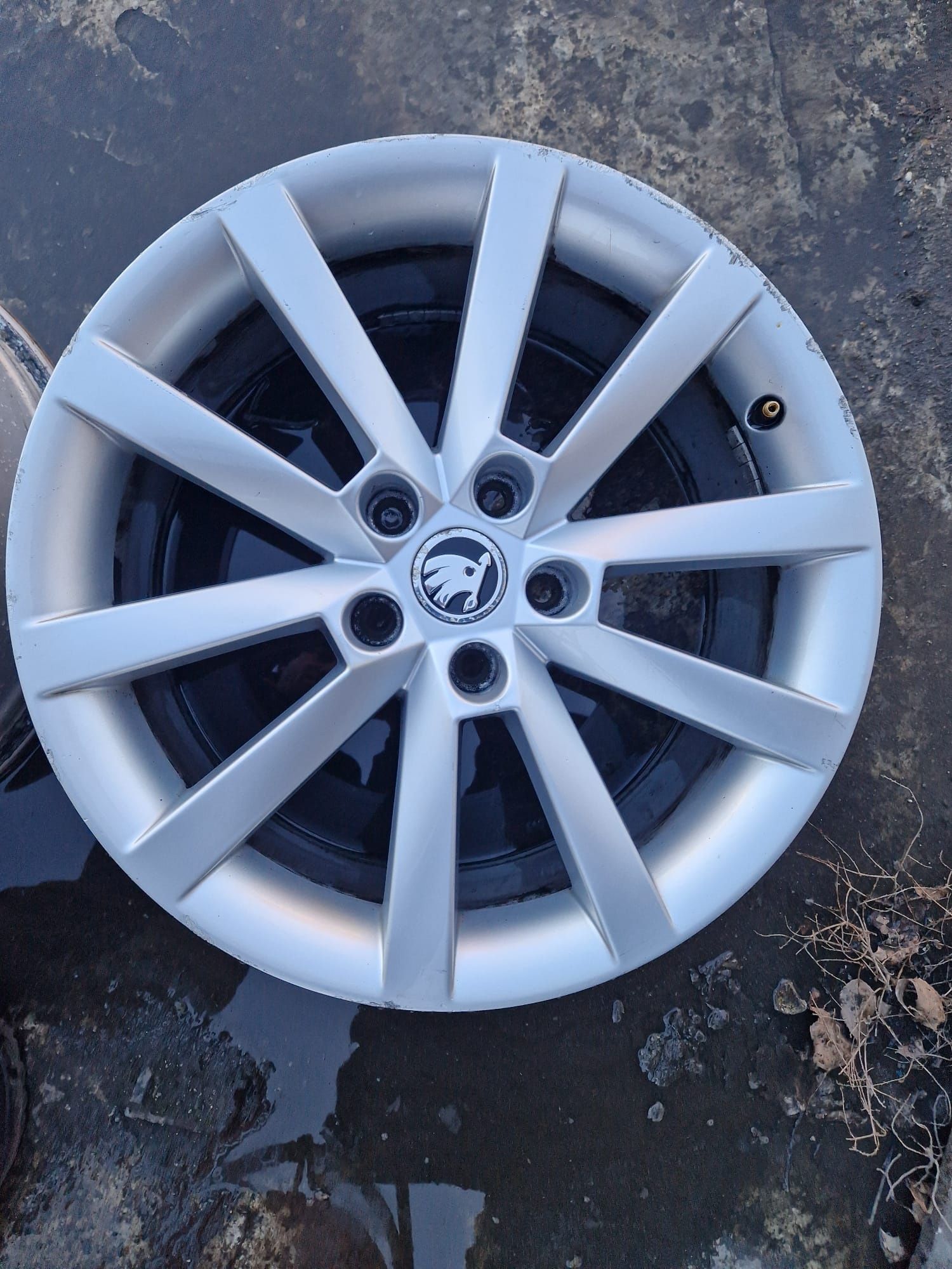 Vand jante skoda