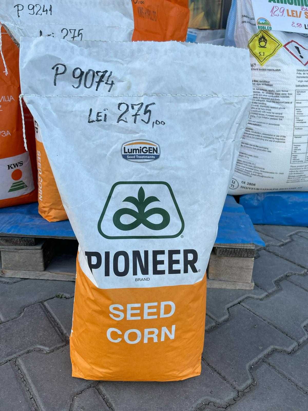 Seminte Porumb Pioneer P8567, P8812, P9889, P9610, P8567, P9241, P9047