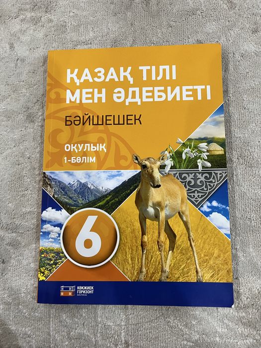 Книга по казахскому за 6 класс