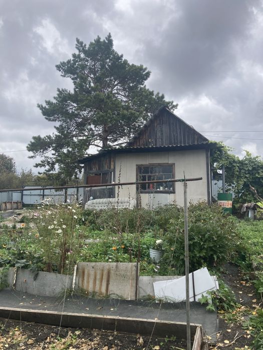 Продам дачу в Новопавловке