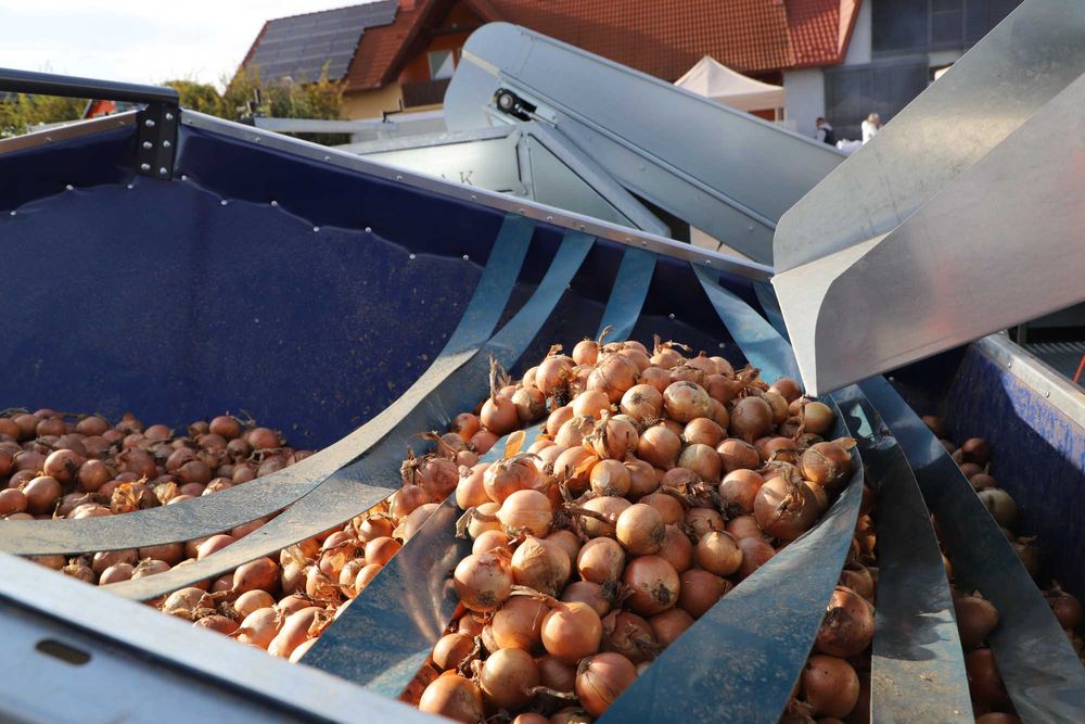 Buncăr de recepție - SH65-Michalak