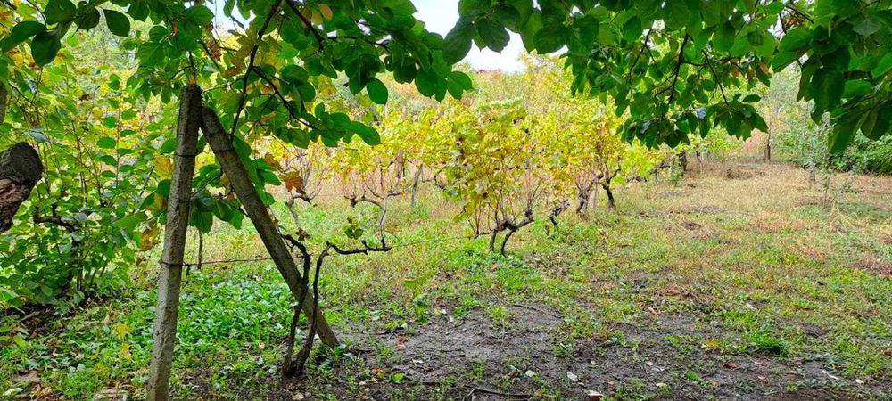 Продава се Парцел в Ямбол, Промишлена зона - 1000 кв.м за 7 €/кв.м - Снимка #3