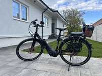 Bicicleta electrica Pegasus tecaro Bosch performanceCXline