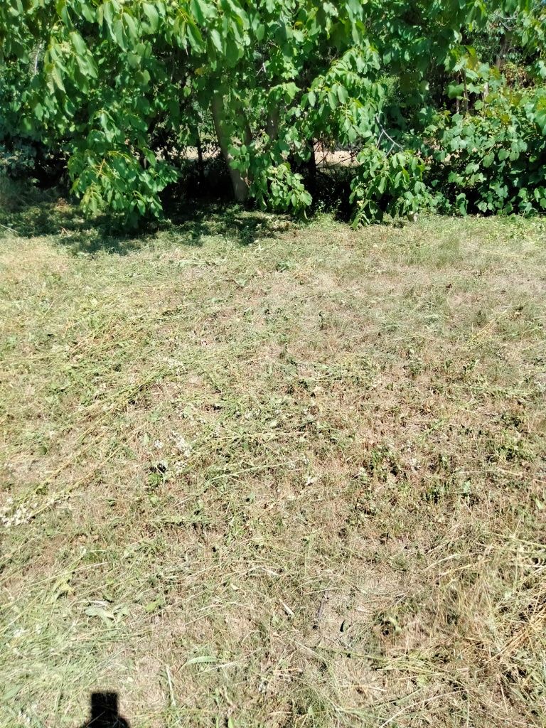 Ocazie,Teren de casa,vila,deal-munte,cu livada!Acte la zii Negociabil