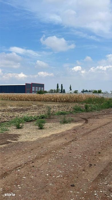 Magurele  Teren  4000mp  industrial