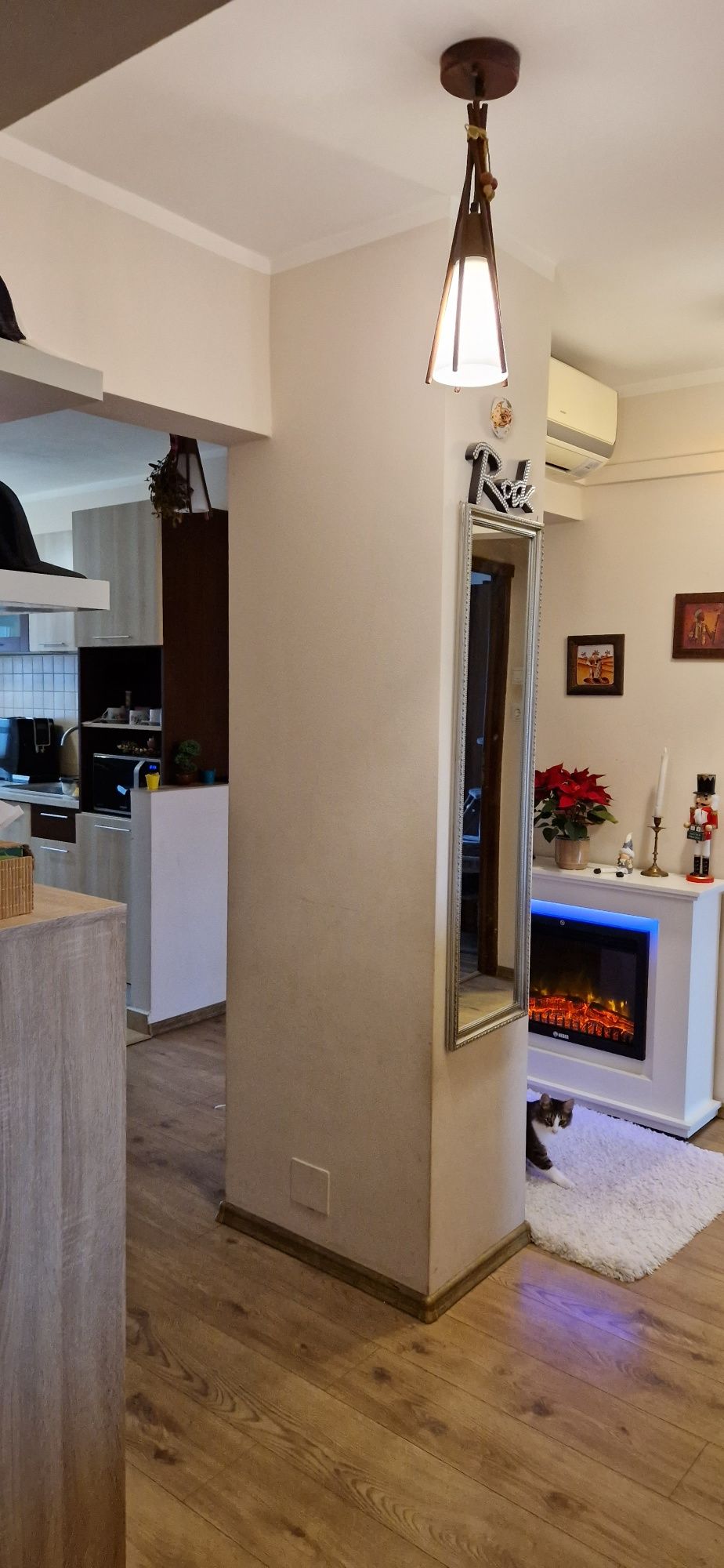 apartamente de vanzare timisoara