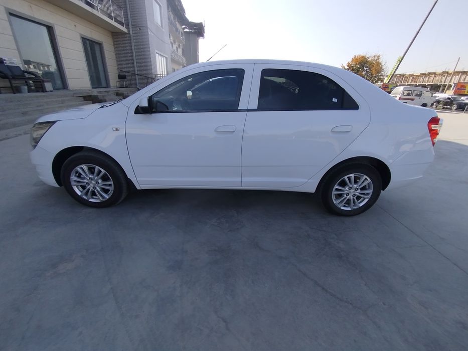 2024 kobilt metani bor