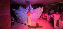 Dansatoare Belly Dance