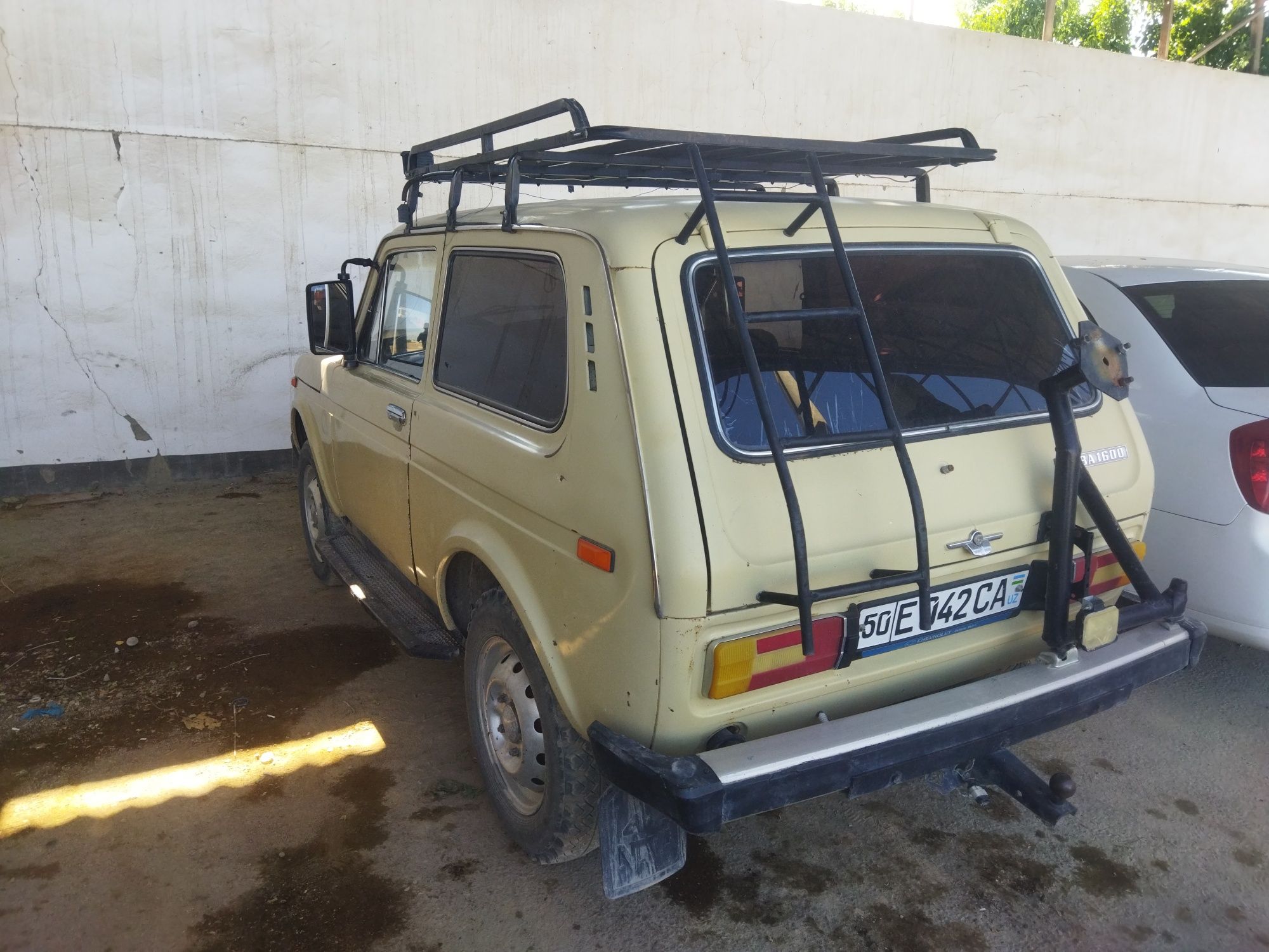 Niva xolati yaxshi