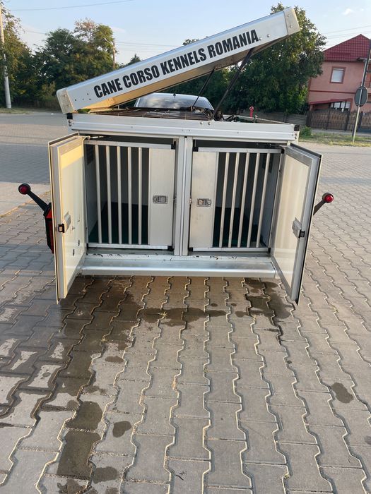 Remorca transport caini