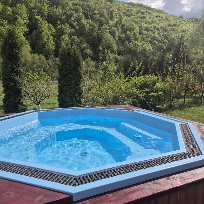 Cabană de închiriat cu minipiscină încălzită și iaz cu pește