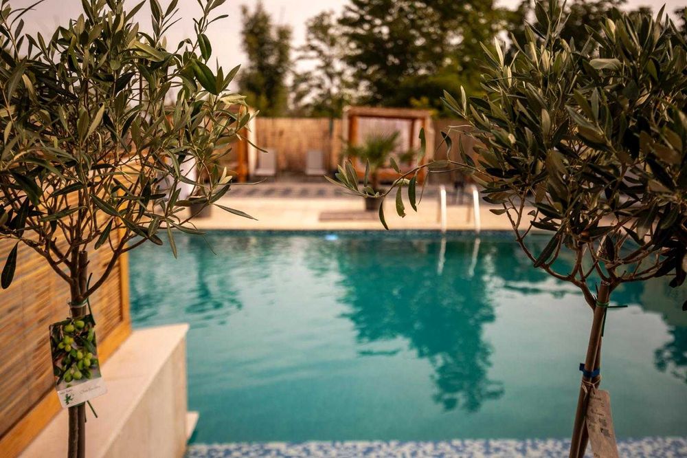 Locație PREMIUM/petreceri private/zile de naștere/cununie/etc