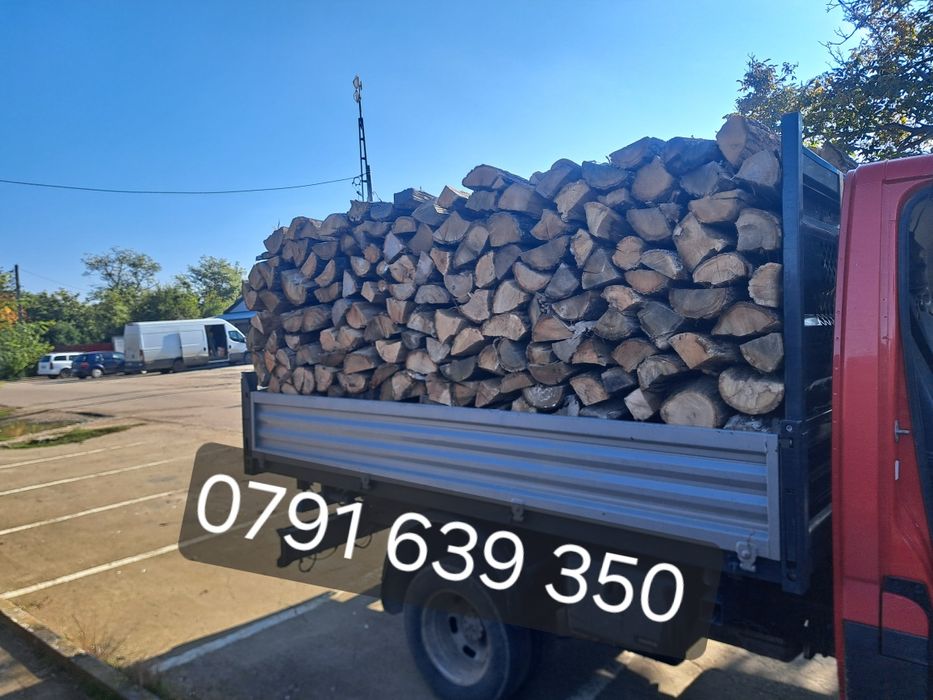 Lemne de vânzare fag și stejar salcâm