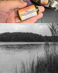 Kodak T-Max 100 - With Sample Pictures
