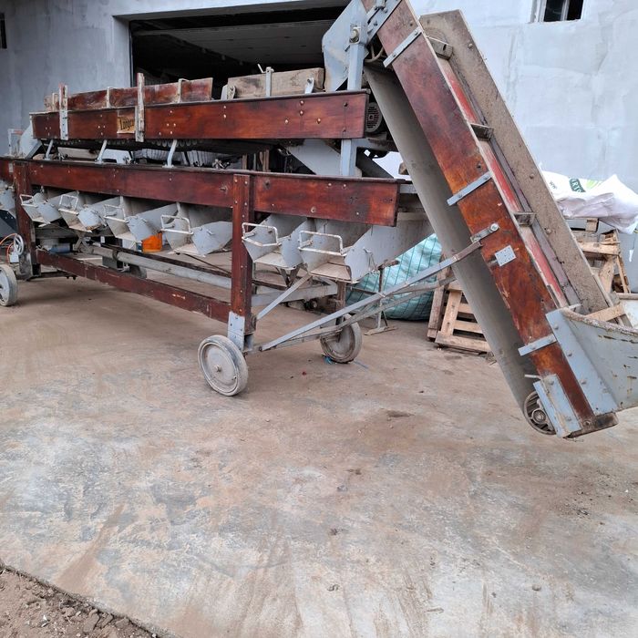 Langco masina de sortator Cartofi