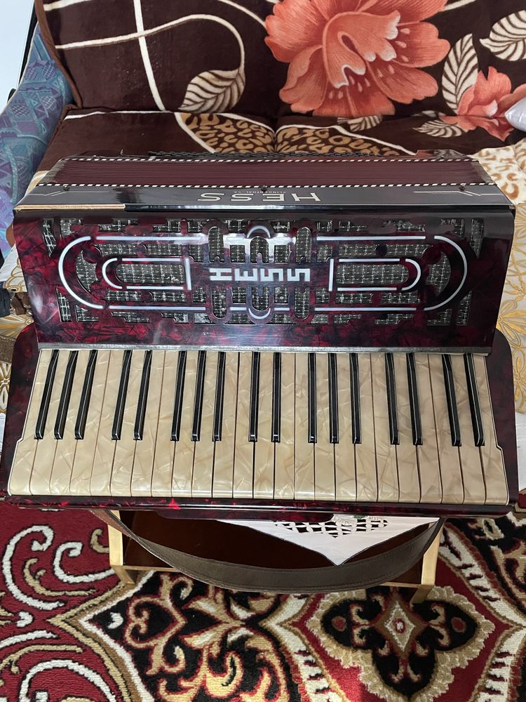 Acordeon Hess 120 bași 2 registre