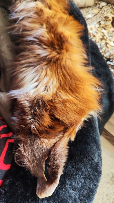 Шуба из натурального  меха продаётся