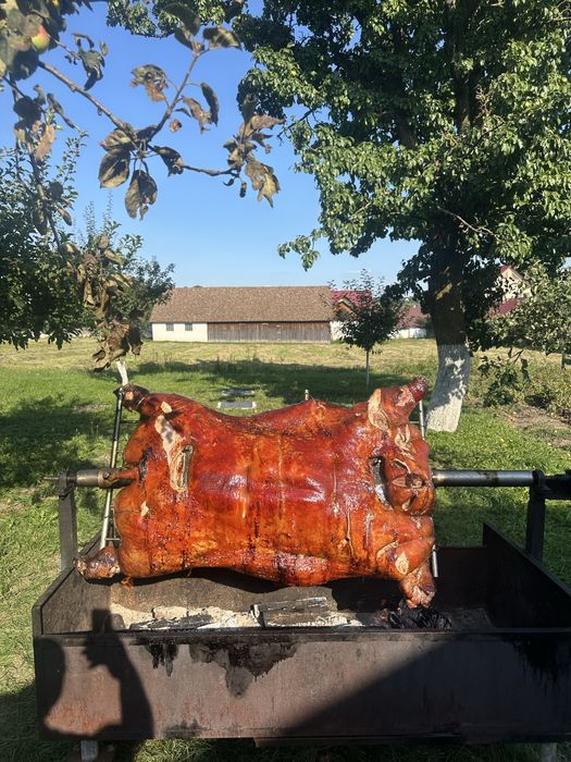Protap de porc , berbecut, vitel