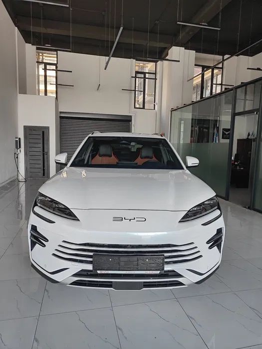 Byd champion Gibrid 2024/2025 yil