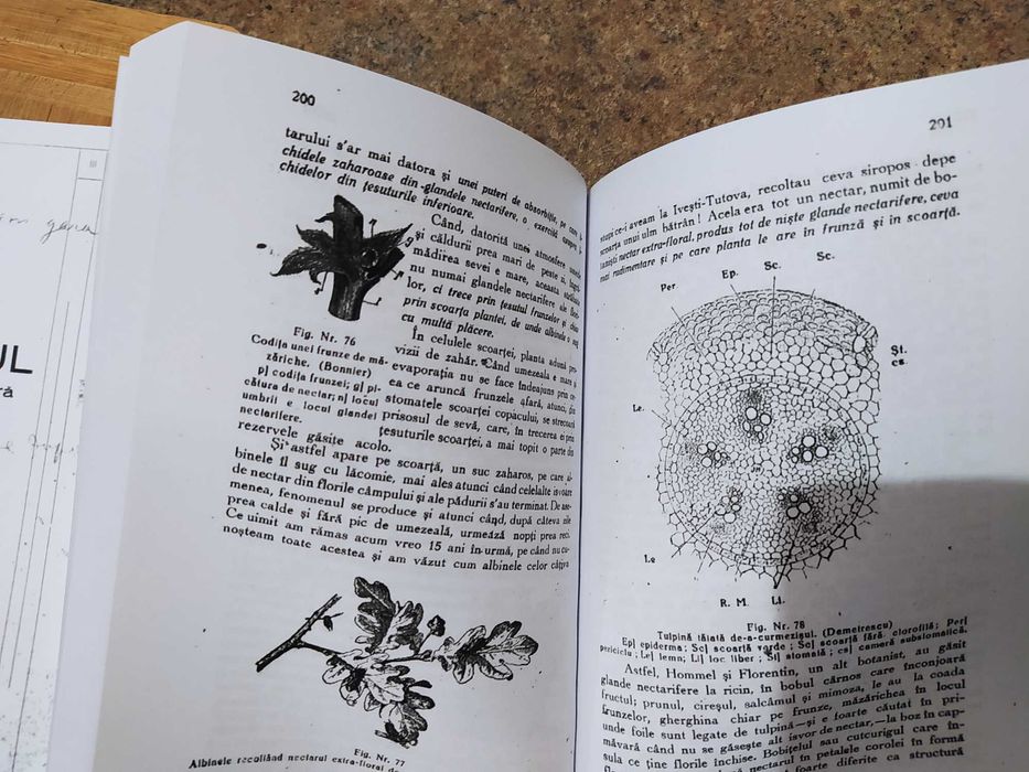 "Biblia" Apicultorului Constantin L. Hristea, xerocopie ediția I volum