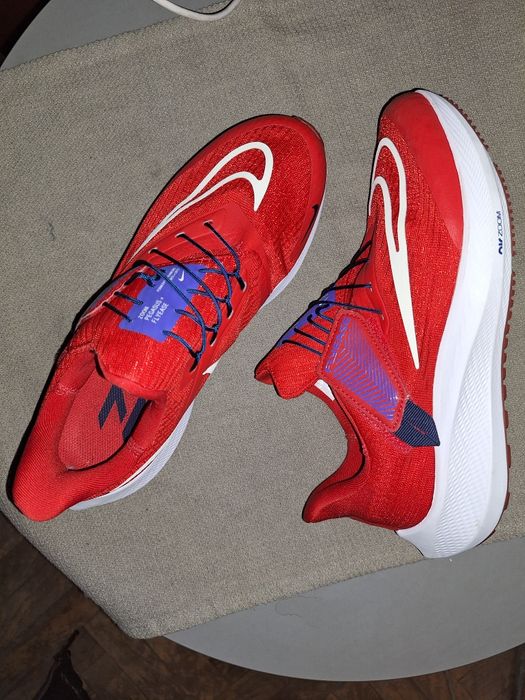 Model Nike  zoom pegasus flyease shoes